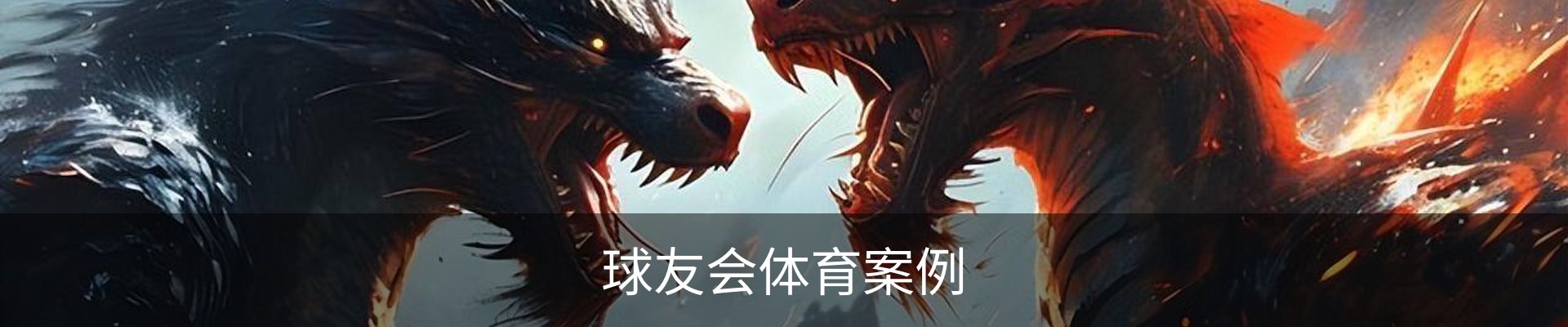 球友会体育案例
